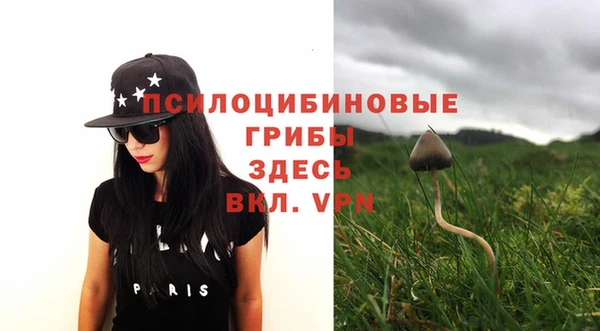 не бодяженный Волоколамск